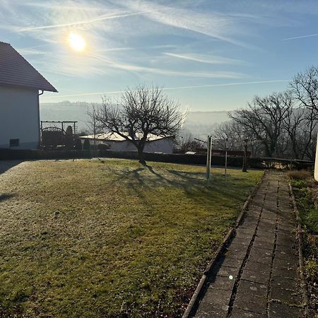 Cozy Pet-Friendly Apartment Meißen Buitenkant foto