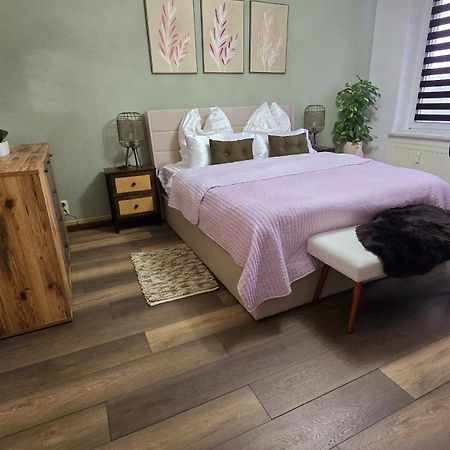 Cozy Pet-Friendly Apartment Meißen Buitenkant foto