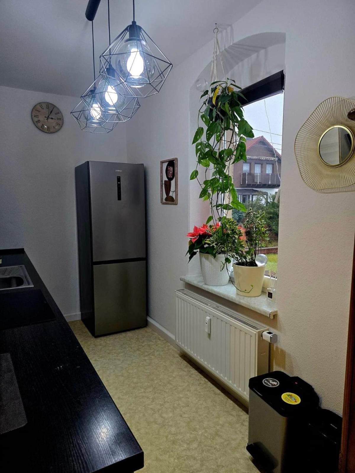 Cozy Pet-Friendly Apartment Meißen Buitenkant foto