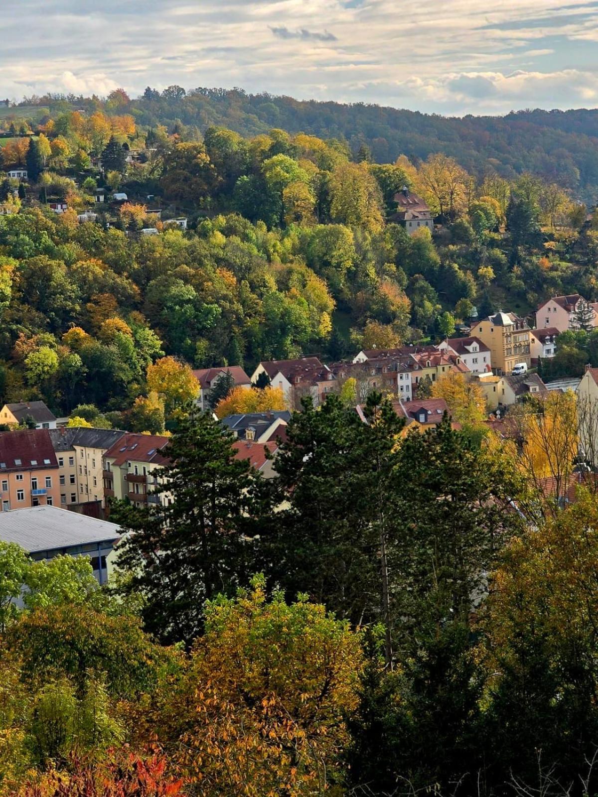 Cozy Pet-Friendly Apartment Meißen Buitenkant foto