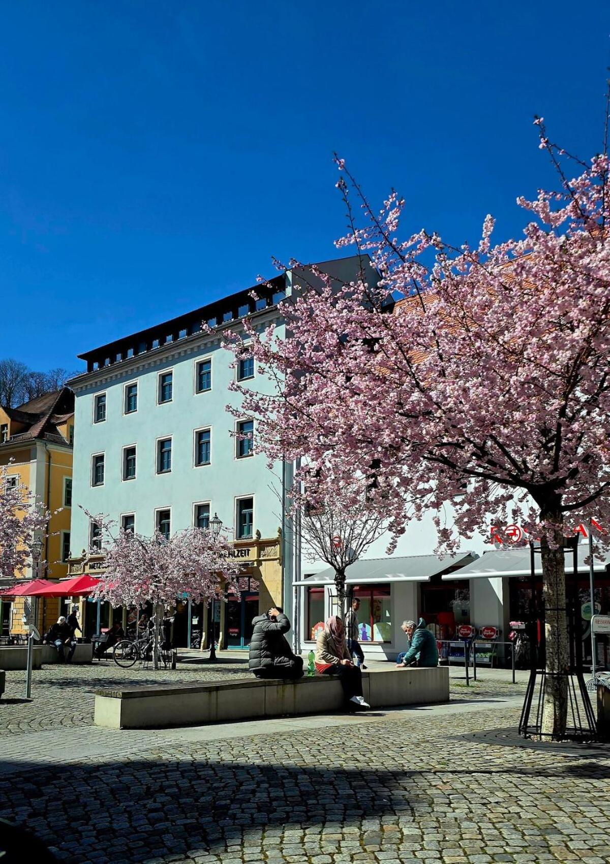 Cozy Pet-Friendly Apartment Meißen Buitenkant foto